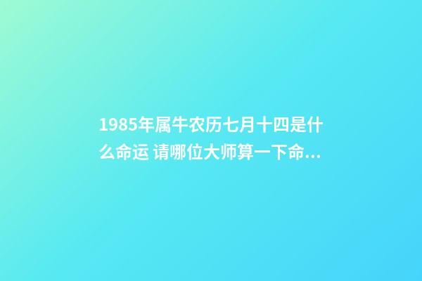 1985年属牛农历七月十四是什么命运 请哪位大师算一下命：男的1985年农历七月十四日午时出生的命运如何？详细解释一下，谢谢!!!-第1张-观点-玄机派
